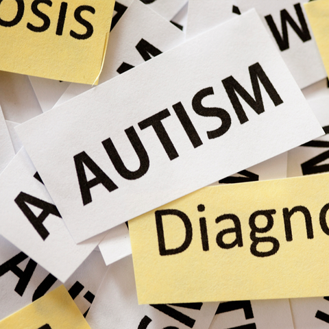 Understanding Autism Spectrum Disorders