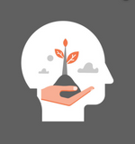 The Peaceable Classroom: Conflict Resolution Through Growth Mindset and Mindfulness